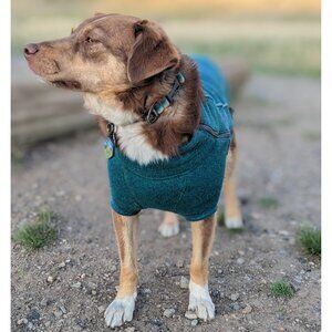 Ruffwear Fernie Dog Jacket, Fleece - Tumalo Teal Blue, Size Small